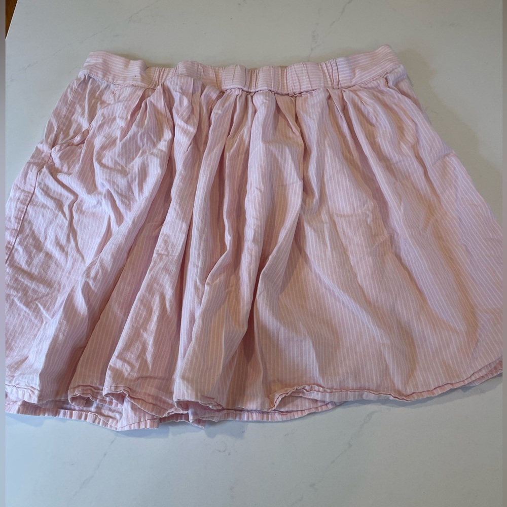 JCrew Skirt